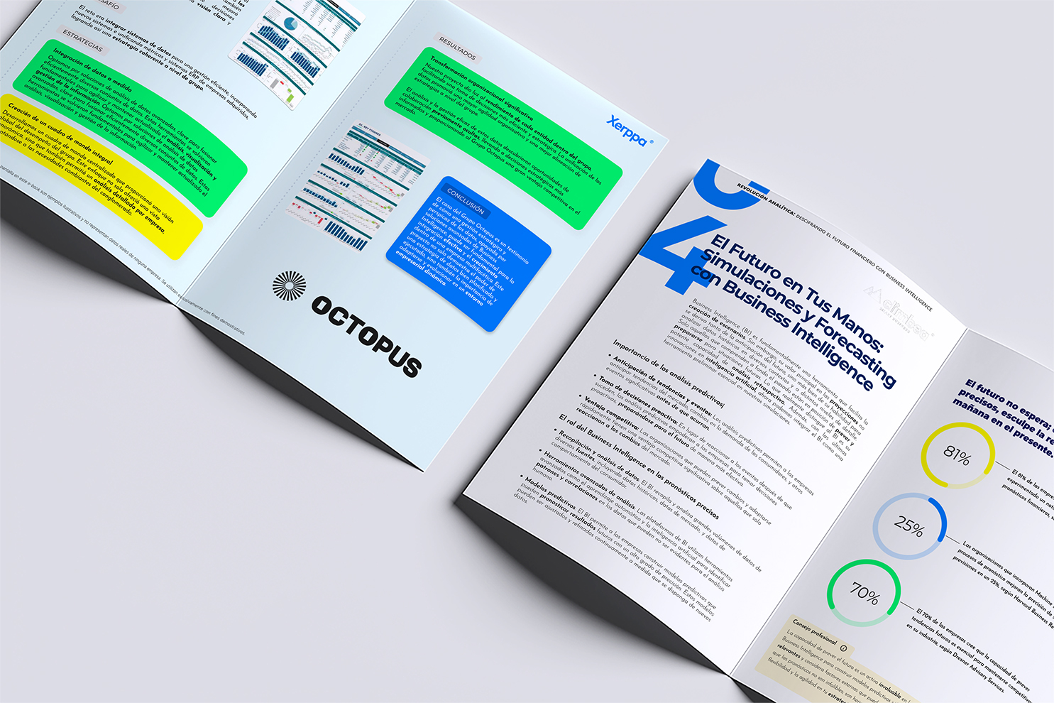 Mockup ebook del dato 2